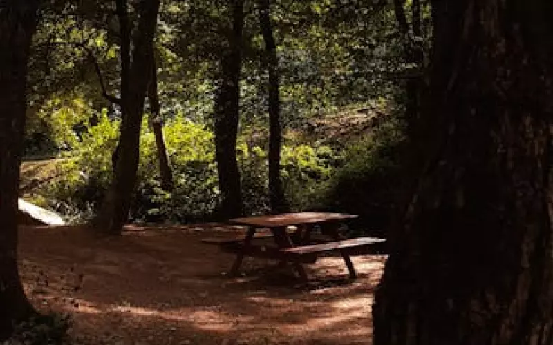 在婚前闹翻如何挽回男友(正确最快挽回男友的方法)