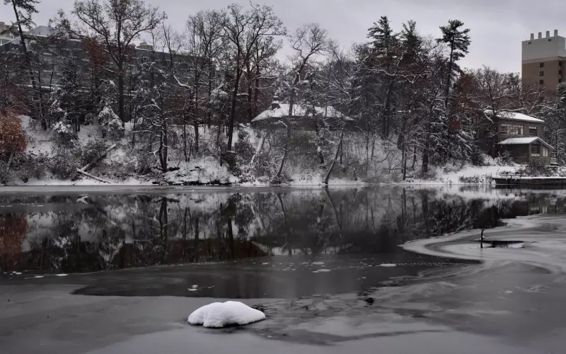 怎么才能挽回男友的初恋(如何一招挽回男朋友的初恋)