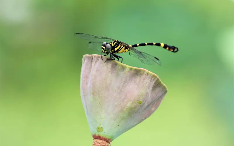 三年感情应该怎么挽回男友(如何挽救一段感情挽回男友)