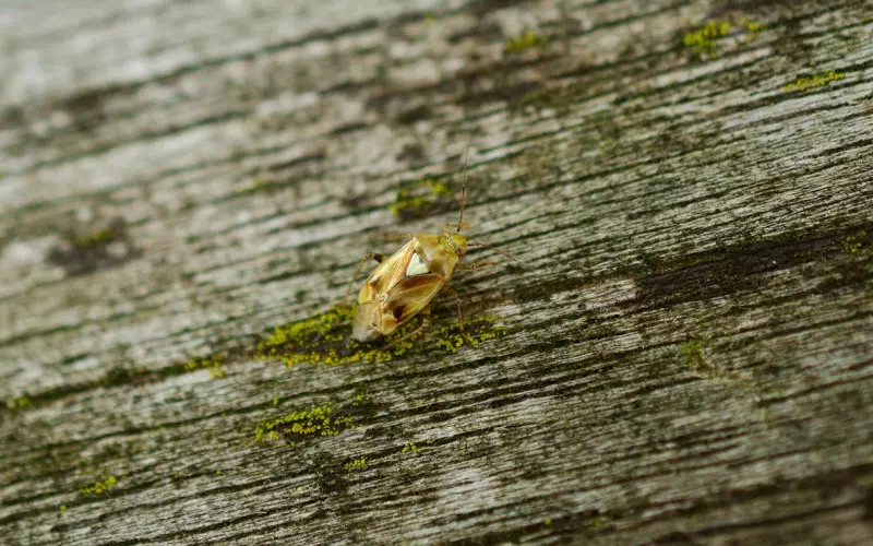 如何挽回男友系列教程：常见错误的挽回男友方法