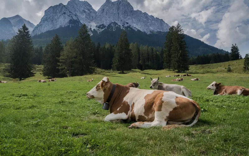 刚分手怎么挽回男友?满足他的合理需求很有效