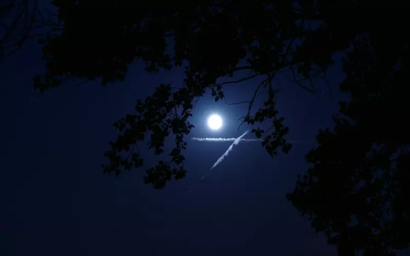 分手一个月，如何挽回男友？