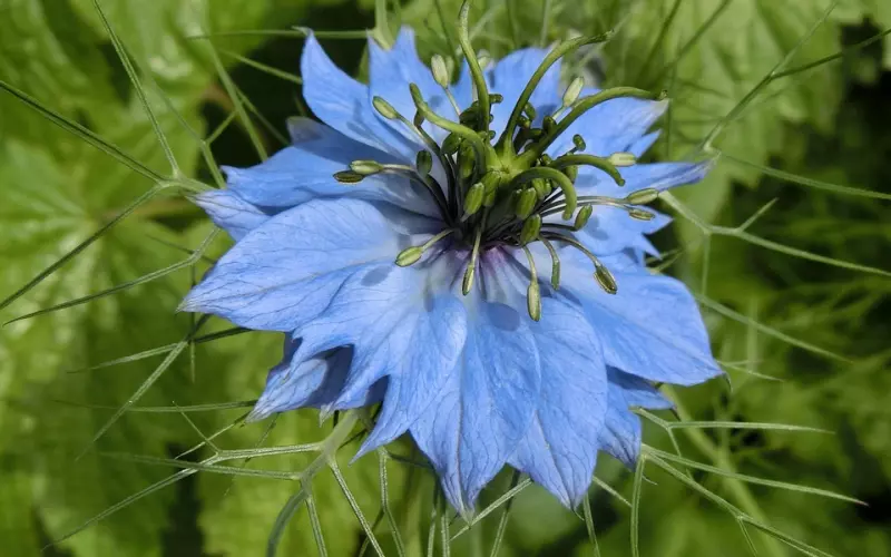 如何挽回有处女情结的男友？