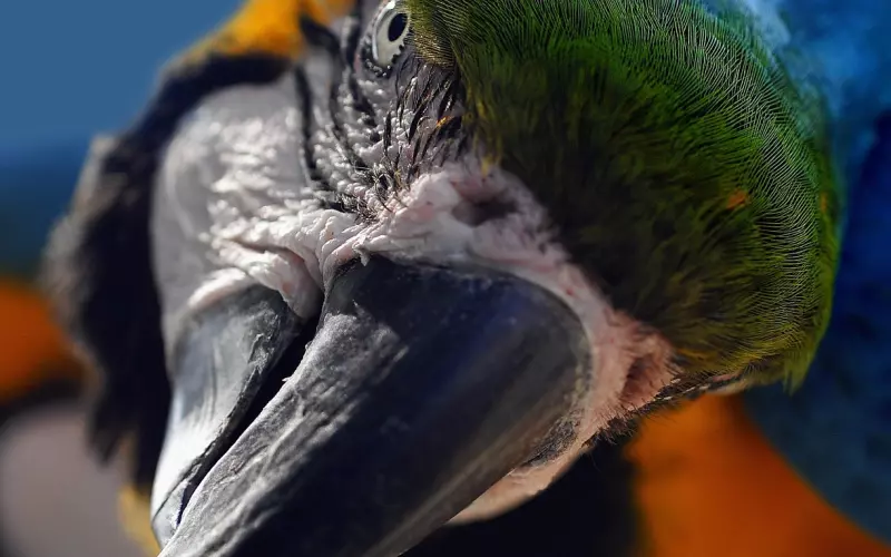 刚分手怎么挽回男朋友？挽回男友的方法