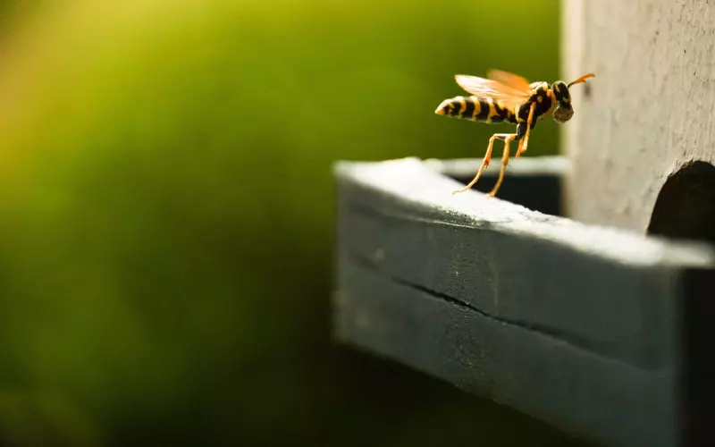 挽回男友方法：被删微信后如何挽回