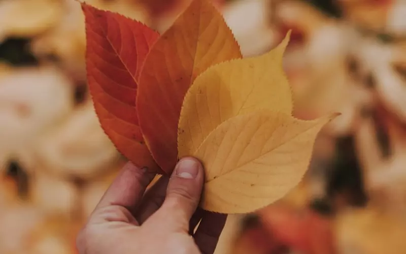 分手后如何挽回男友？保持乐观心态更容易挽回！