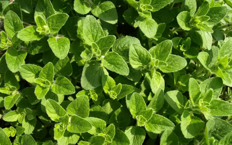 分手后挽回男友如何增加成功率