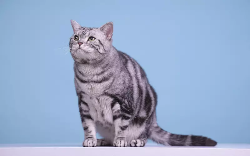 怎样挽回男友让短择变长择？