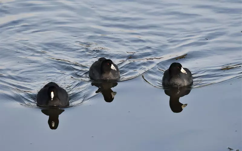 因为逼婚而分手 如何挽回男友的心