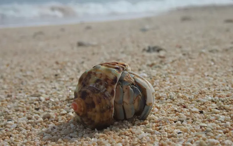 谈婚论嫁时与男友闹矛盾 如何挽回男友的心