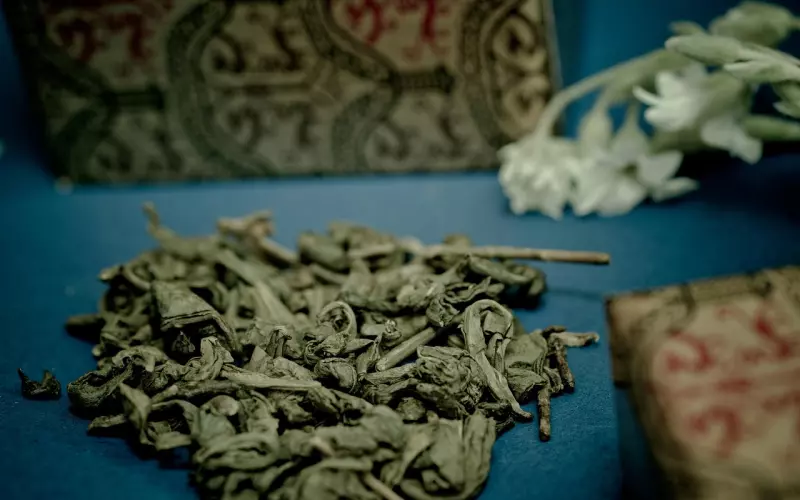 遭遇绿茶婊，如何挽回男友的心