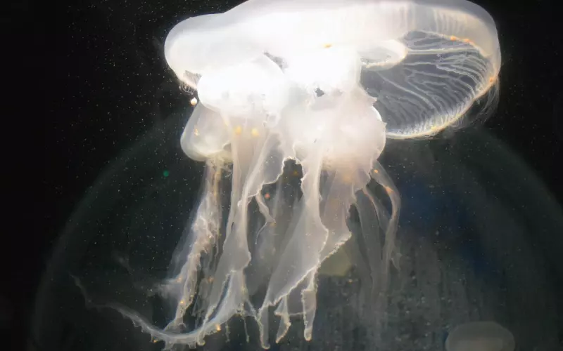 吵架分手怎么挽回男友？