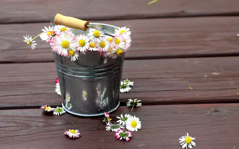 分手后怎么挽回男友，才最有可能成功