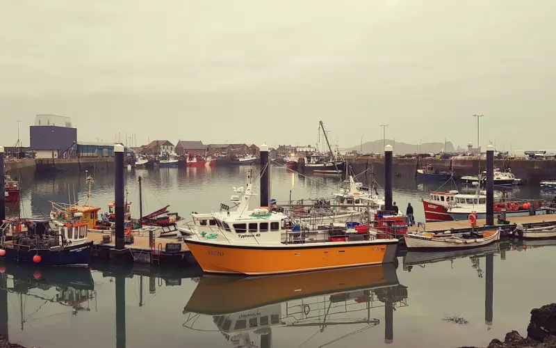怎么样挽回男朋友