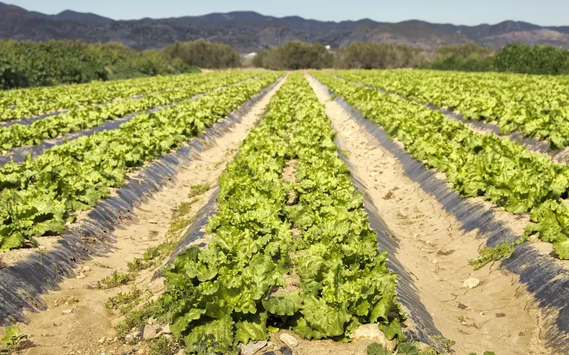 挽回男友方法之如何培养幽默感