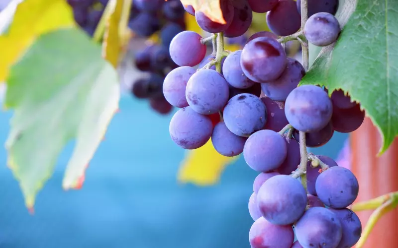 分手后挽回男友如何增加成功率