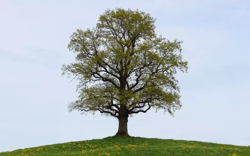 怎么挽回男朋友，四个步骤赶紧做到