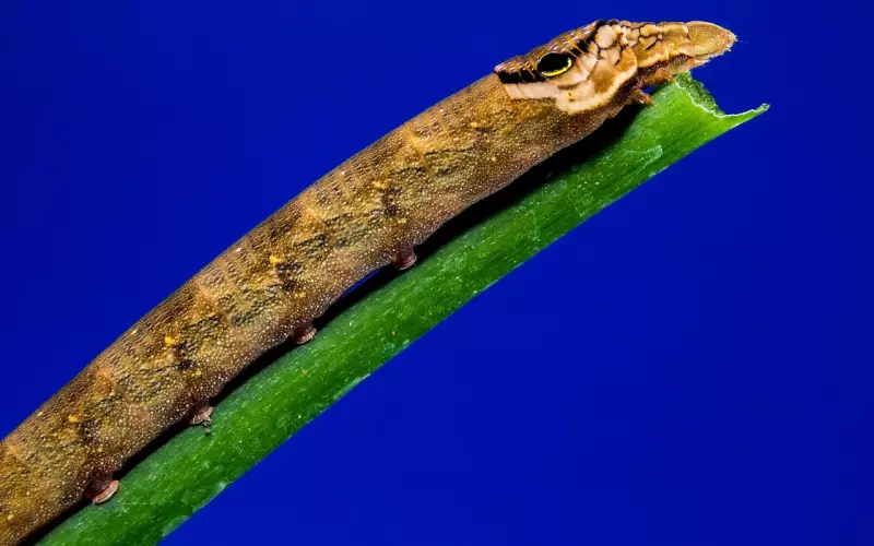 如何挽回死心的男友？