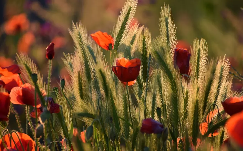 如何在不离家的情况下挽回离婚的老公