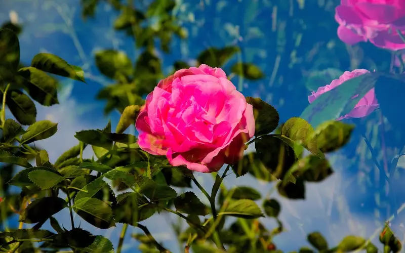 分合多次如何挽回前任