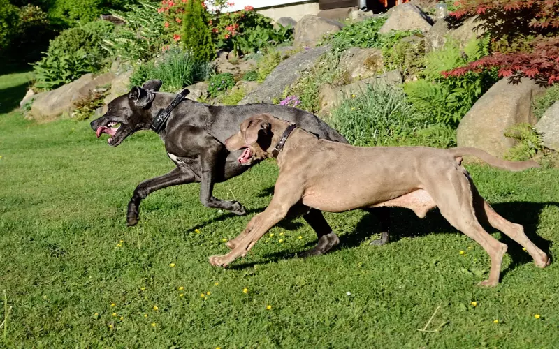 怎样挽回前男友？两大绝招，百发百中