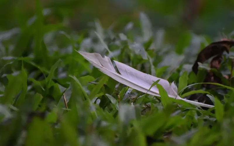 怎么挽回前男友？简单一波操作助你快速挽回男友