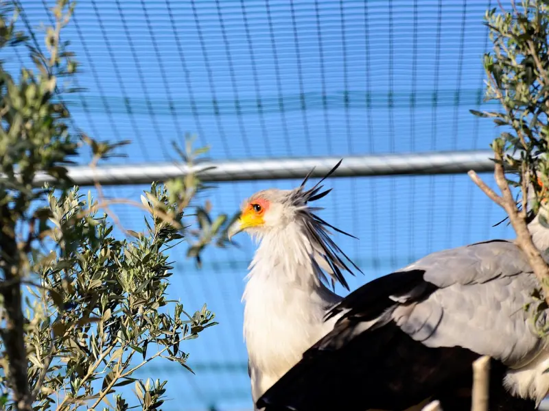 如何挽回前男友：如何挽回射手座男友，射手男喜欢什么样的女生