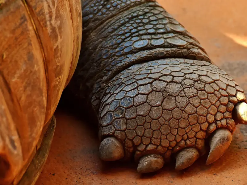 挽回前男友之巨蟹座伤心了怎么挽回