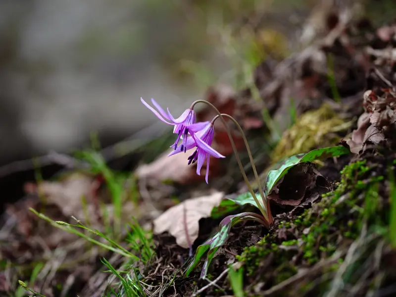 如何挽回前男友：挽回男友话怎么说？挽回男友怎么做？