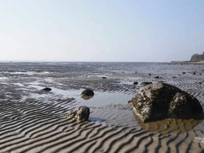 如何挽回前男友：前男友有女朋友了还能挽回吗？