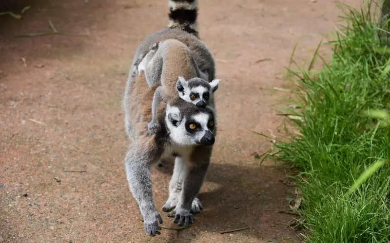 碰到前男友怎么挽回她的心