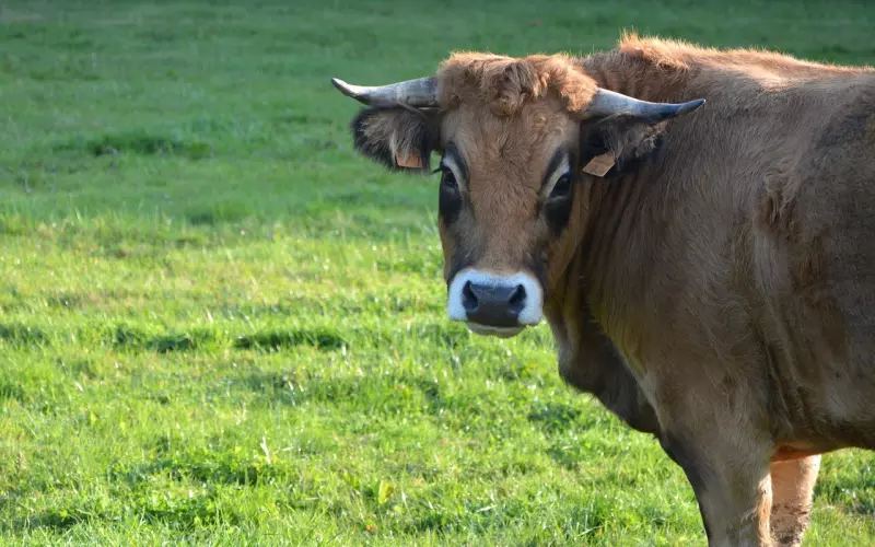如何挽回性格绝强的前男友