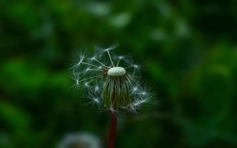 分手后如何高段位挽回前男友？