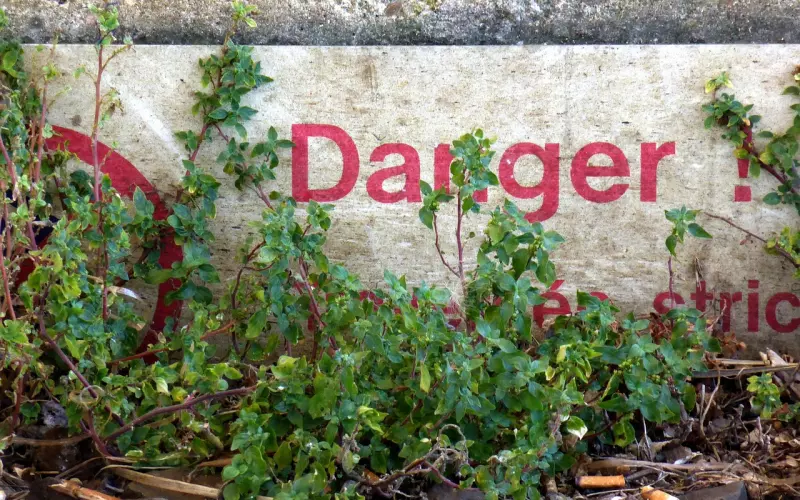 被分手后怎么挽回前男友