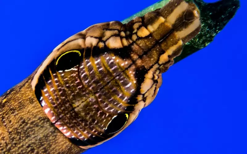 如何挽回前任：面临分手，如何挽回女友