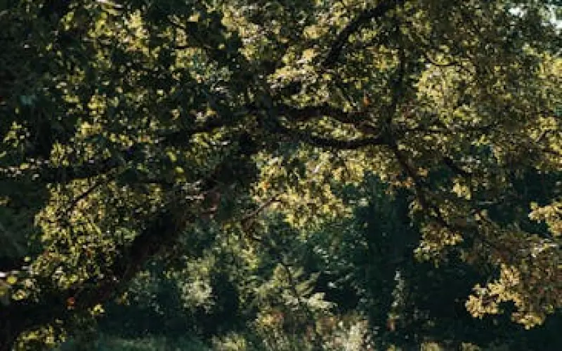 前夫复婚怎么发朋友圈挽回(怎么挽回态度坚决不复婚的前夫)