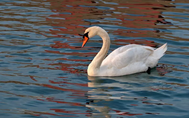 挽回男友之如何优雅的挽回前任