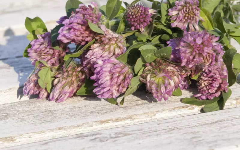 如何挽回前任?挽回决绝的金牛男绝招