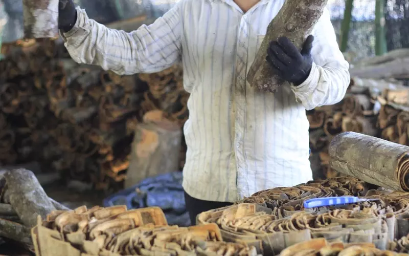 挽回女友方法：怎样挽回去意已决的女友？