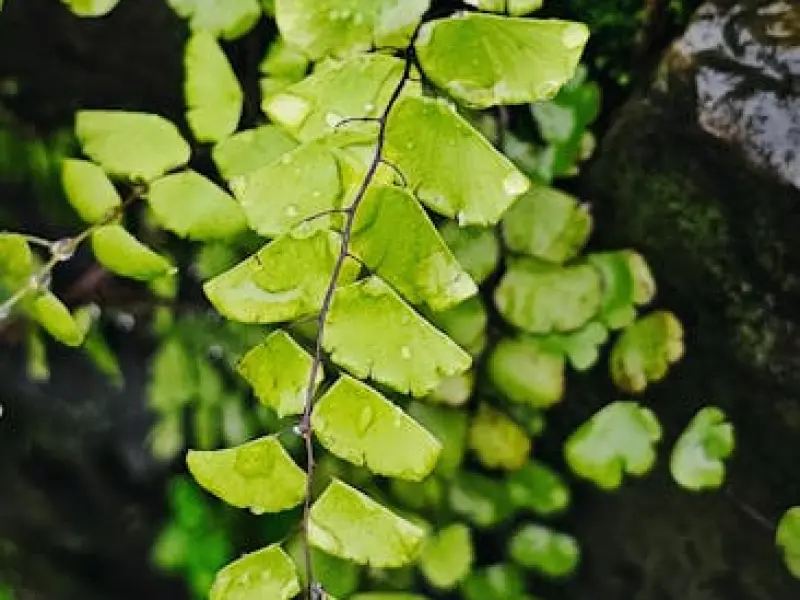如何挽回女友感情:跟女友的感情淡了，该怎么挽回女友的心