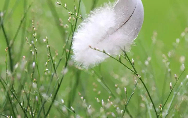 怎么挽回分手女友：适当利用“巧合”，挽回爱情太简单