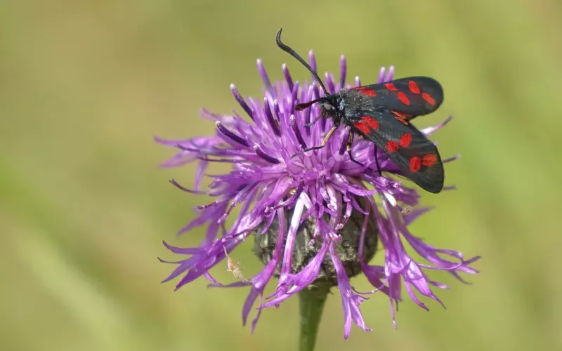 如何高效挽回女朋友？教你爱情挽回之三招六式，挽回女友简单点