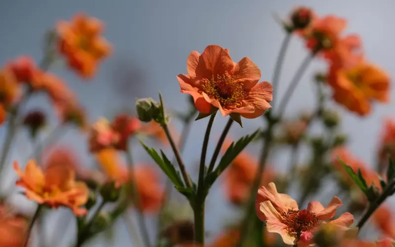 分手后挽回女友的方法：怎么挽回曾今深爱的前女友？