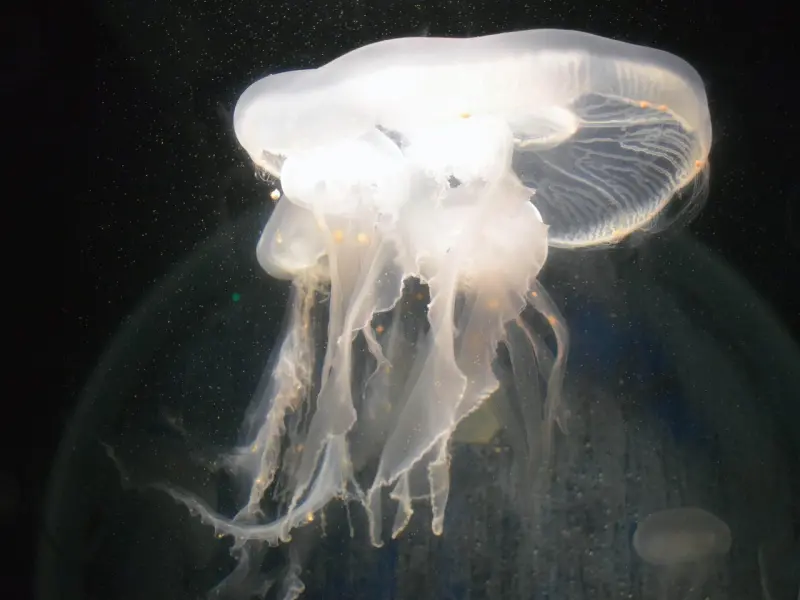 吵架后如何挽回女友：吵架后女友要分手，学会这三招挽回