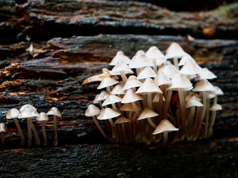 怎样挽回女朋友：如果死缠烂打挽回不成，不妨试试这样做