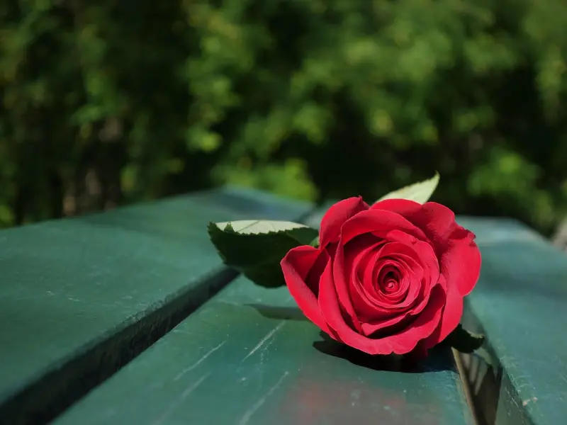 怎么挽回女友的爱：女友喜欢上别人，还值得挽回吗？