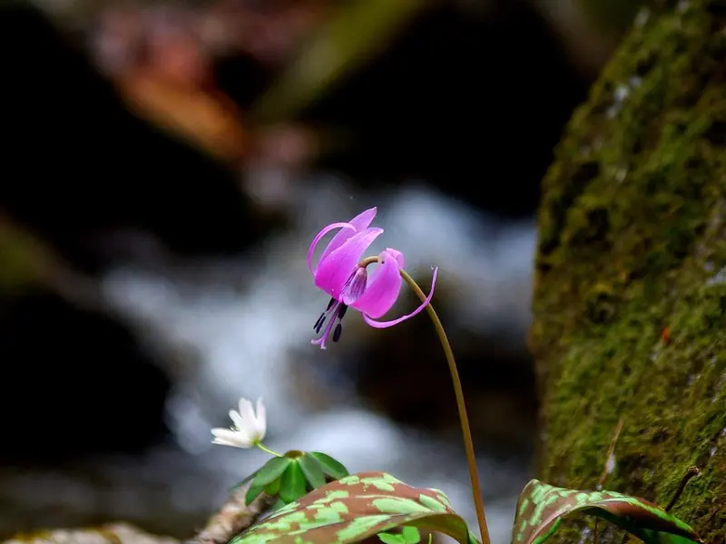 如何挽回女友：和女朋友分手想挽回该怎么做？如何挽回女友