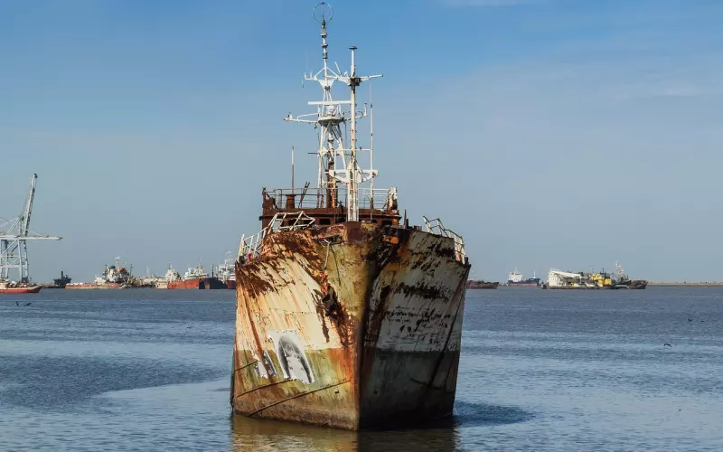 怎样挽回老公，先爱上自己的性别吧