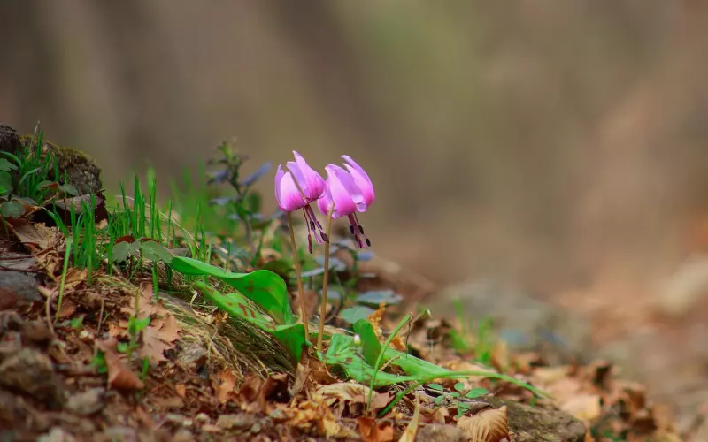 挽回老公如何做：老公跟别人暧昧，如何挽回老公的心