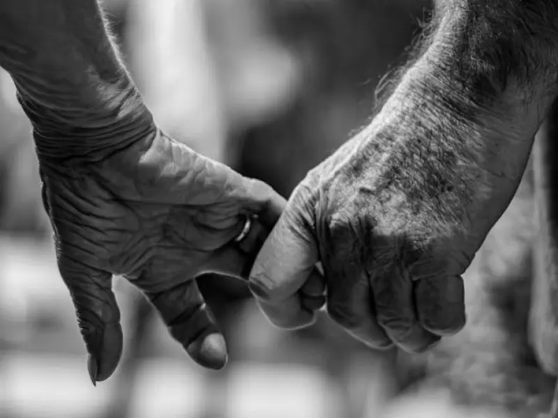 挽回老公冰冷的心怎么做：三个独家挽回绝技，教你挽回不爱你的老公